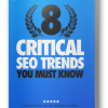 Critical Seo Trends